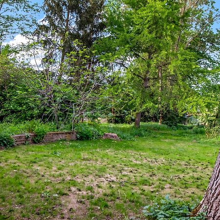 Altstadt Apartment Am Wasser Mit Parkplatz Und Grossem Garten باد كروزناش المظهر الخارجي الصورة